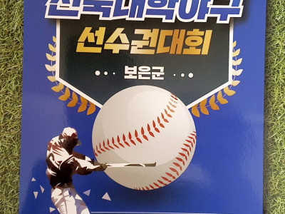 제79회 전국대학야구선수권대회